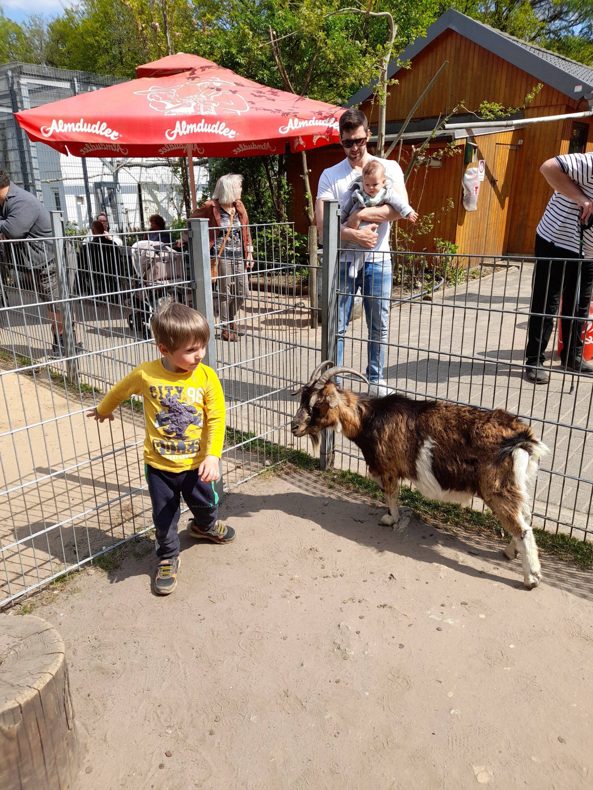 🦉 졸링겐 조류 및 동물 공원(졸링거 포겔 운트 티어파크)